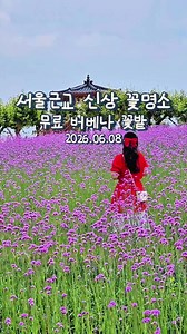 모산공원 숙근버베나(버들마편초) 꽃밭 정보 및 방문 팁