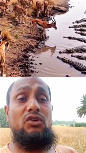 পরিস্থিতি যতই খারাপ হোক, মাথা ঠান্ডা রেখে ধৈর্যের সাথে মোকাবেলা #viral #trending #fyp #wildlife