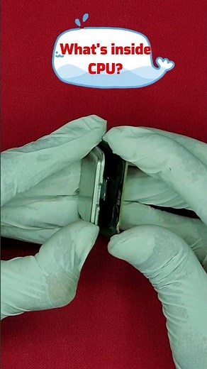 What's inside a processor chip?