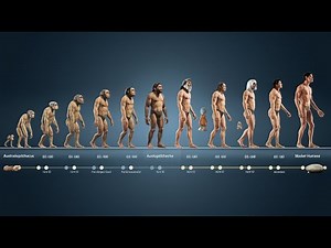 The epic evolution of humans: From primates to modern civilization.