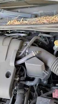 Nissan Altima 2.5 Throttle Body Remapping