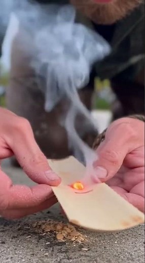 How to Start a Fire in Humid Jungle Conditions