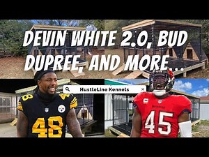 NFL’s Devin White, Bud Dupree, and More… | Ultimate￼ Outdoor Dog Kennel Designs | Hustleline Kennels