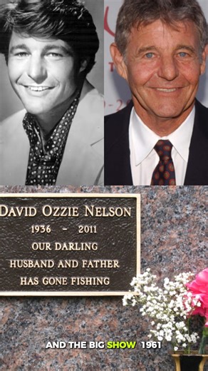 55K views · 2.2K reactions | David Nelson was an actor and television director, best known for his role on the beloved family sitcom The Adventures of Ozzie & Harriet (1952–1966),#fblifestyle | Italian Food | Facebook
