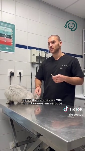 Alors, votre animal est-il identifié ? #veterinaire #chien #chat #animal #identification