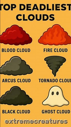 TYPES OF CLOUDS🌩️ | Part 2 #Clouds #Nature #Shorts