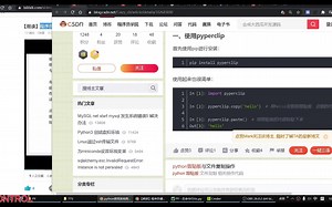 【编程】win10 复制文字然后TTS朗读，保存到TXT文档，Python pyperclip