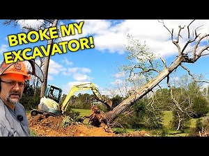 Digging BIG Trees With A MINI Excavator. Yanmar VIO50 Digger