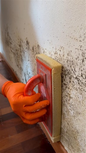 Follow me for daily handyman hacks, tips, and smart home fixes! 🔧🏡 #mold #home #construction