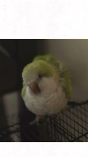 Sprunki Alternativity Phase 4 (Charlie) [Early BIRDY Teaser 2] mod by @YourLocalCrazyDude #sprunki