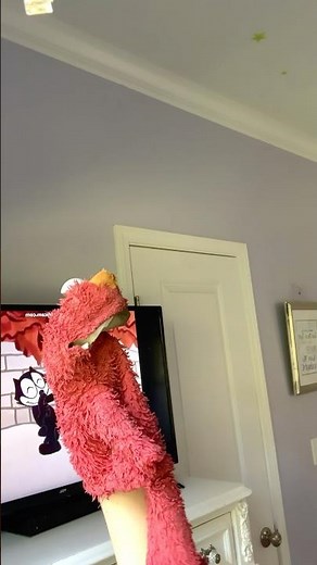 elmo world birds question and flims