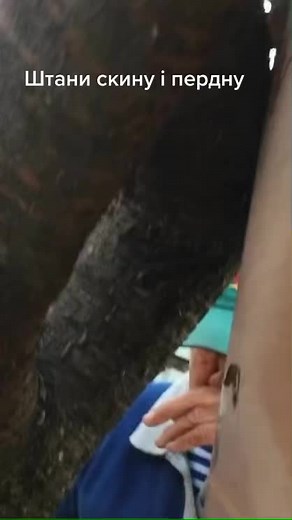 Exploring Nature: Touching a Tree Trunk Up Close