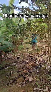 Nilaga nga Baboy nga my ubod kag monggo para sa panyaga #KaPakol | Ka Pakol Vlogs