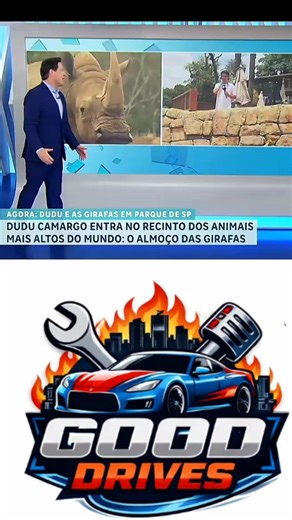 Good Drivers: Celebrating Safe Driving Habits