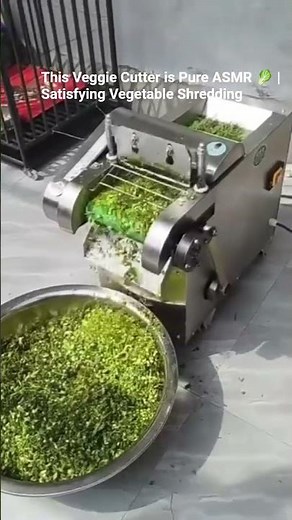 Shredding Greens in Seconds! ⚡ Heavy Duty Commercial Vegetable Cutter