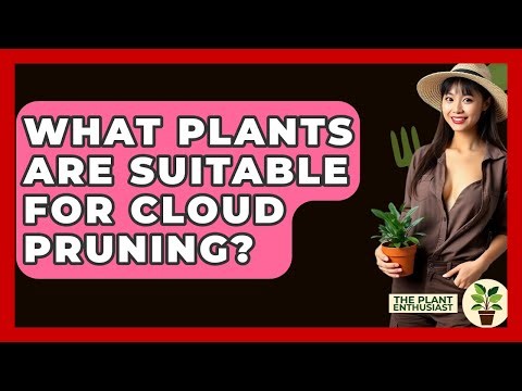 What Plants Are Suitable For Cloud Pruning? - The Plant Enthusiast
