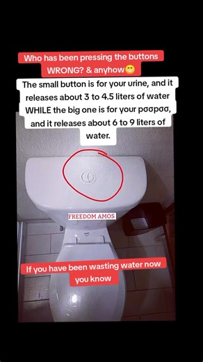 Understanding Dual Flush Toilet Cistern for Water Conservation