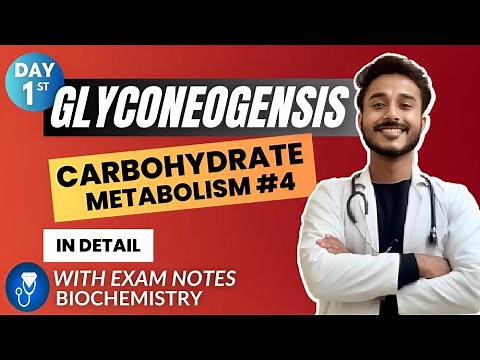gluconeogenesis biochemistry | gluconeogenesis pathway biochemistry | carbohydrate metabolism bio.