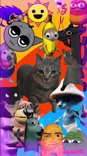 Ethel Spinning OIIA Cat Meme