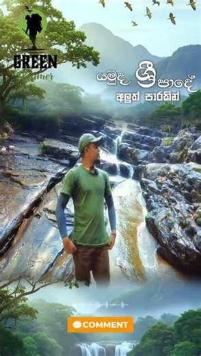 සිරිපා කරුණා කරන්න අලුත් පාරක් | Adam's peak #travel #nature