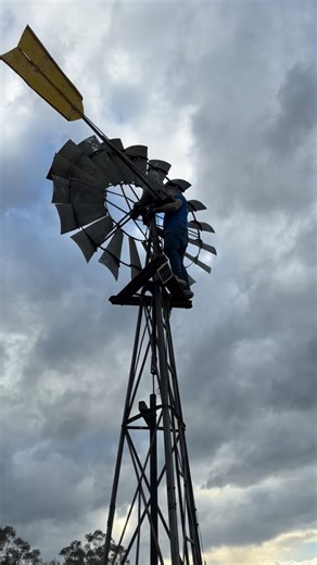 29K views · 3.1K reactions | I was literally about to drive out the...