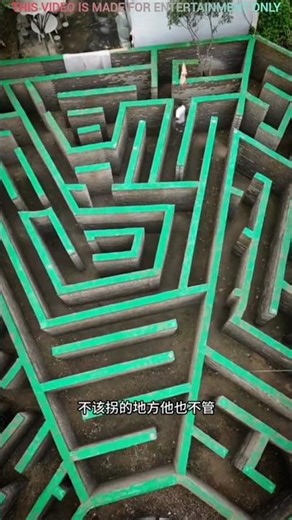 Chinkua got stuck in a maze game🥵New Viral Gadgets,Smart Appliances.Kitchen Utensils/Home Inventions