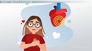 Heart Disease Lesson for Kids: Facts & Information
