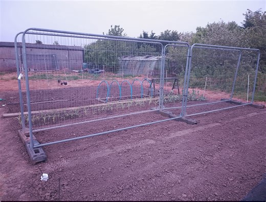 Allotment ideas | New runner bean frame up ,what you think of this idea | Facebook