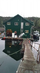 My Life as a Remote Logging Camp Cook