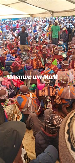 🐬💙MEGA MITTER💙🐬 (@pai.mitter)’s videos with original sound - 🐬💙MEGA MITTER💙🐬