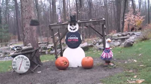 4.2K views · 123 reactions | Michigan Snowman Cam is getting ready for Thanksgiving...旅 | EarthCam | Facebook