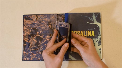 Rosalina_Book_Horizontal_VF