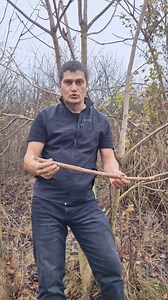 Atenție la NELEMN! #ailanthus | Pădurile din România