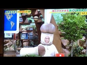 世界まる見え 放送事故