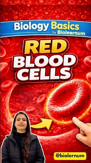|👉RBC Structure & Function Made Simple🔥| Blood| Life processes |