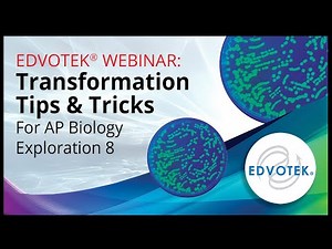 TRANSFORMATION: Tips & Tricks For AP Biology Exploration 8
