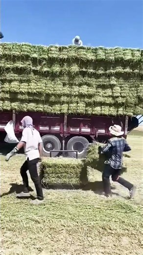 Easy Way To Load Hay Bales Using Technology #shorts #technology