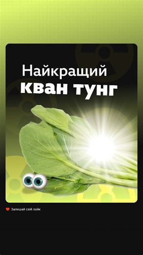 Маркетингова агенція | SMM • PPC • WEB • DESIGN on Instagram: "🥦 Тайський фонд сприяння здоров'ю ThaiHealth та агентство Leo Burnett Bangkok об'єднали зусилля, щоб заохотити тайців споживати нетоксичні овочі, вирощені в сезон. ⚠️ Мета кампанії — підвищити обізнаність про приховану небезпеку міжсезонних овочів, для вирощування яких фермери часто використовують токсичні хімічні добрива. 💚 ThaiHealth прагне, щоб споживачі припинили купувати такі продукти, що, своєю чергою, змусить фермерів назавж