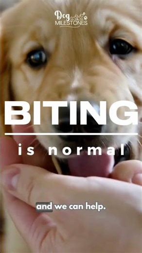Puppy biting getting worse? Is my puppy a Landshark? | Dog Milestones™ Puppy Behavior Training