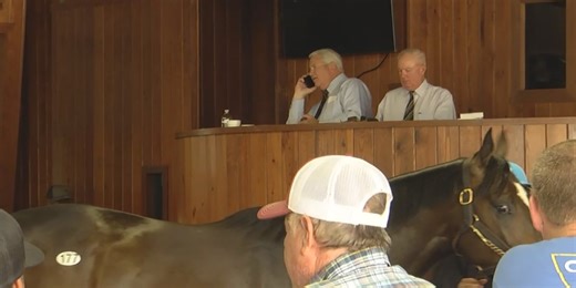 Day one of Ocala Breeder Sales two-day June sale starts with more than 900 horses for sale