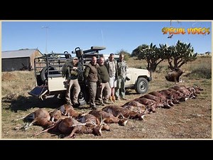 Amazing: How Do American Hunters And Farmers Deal With Million Of Wild Boar By Guns And Hunting Dogs