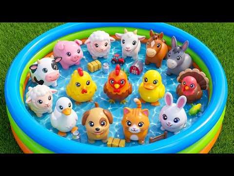 Farm Animals For Toddlers: Poodle, Sheep, Cow, Pig & Horse Adventure | Learn Animal Sounds