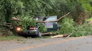 🚨🚨500 block of Hickory Grove Road a large tree fell on a truck traveling towards McAdenville. Luckily the driver was not injured. This was a close call. The road is closed. A miracle on Hickory Grove Road. Can I get a hallelujah!! 🙏 | Gaston County Scanner Radio