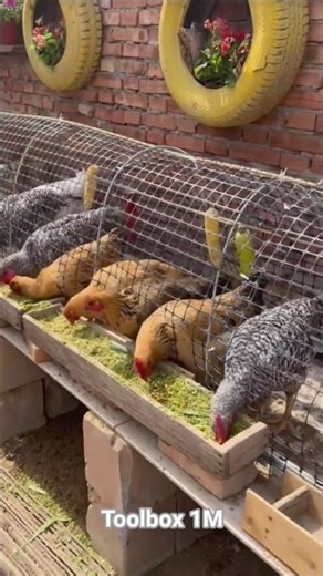Poultry farming food making with grass and veggies 🤤 #shorts #chickenkeeping #chiken #farming #farm
