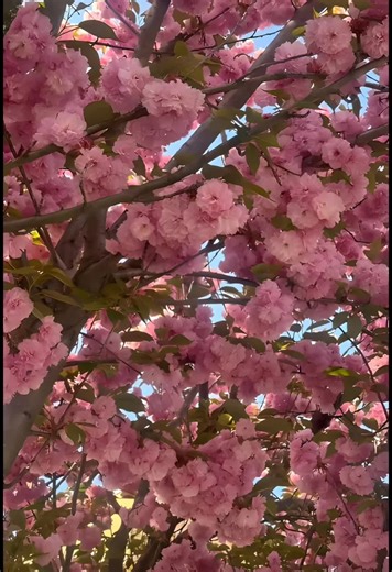 #staywithmenow #stay #with #me #fypypypypypypypypypypypypypypypypypypy