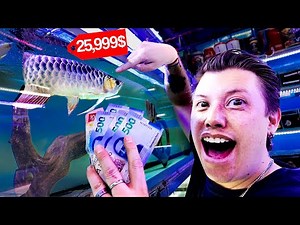 In search of the most EXPENSIVE FISH in the Morelos fish market Mario Blogs