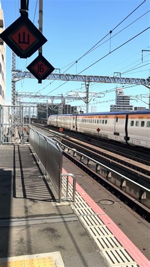 東北新幹線 E5系+E8系東京行き 宇都宮駅275km/h超え高速通過