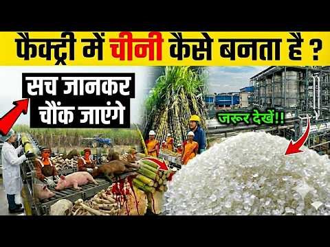 Factory me chini kaise banta hai | How Suger made in factory | Inside Sugar Factory Process Video