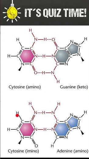 Tautomeric shifts in DNA