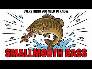 Everything You Need to Know About the Smallmouth Bass